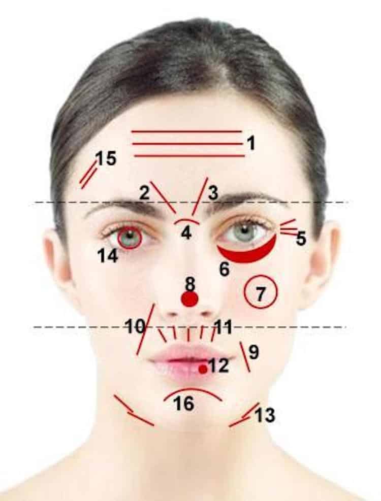 face-map-lines