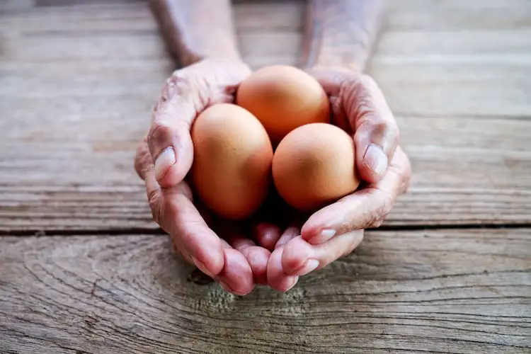 sharing eggs