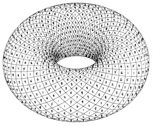 numbertorus