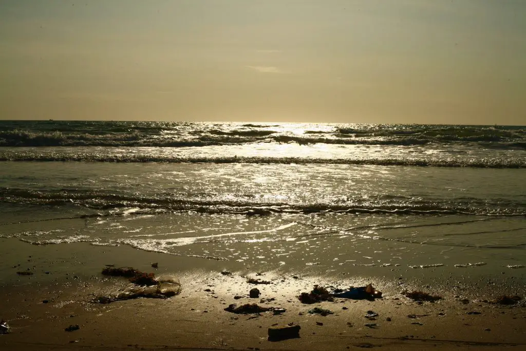 beach pollution