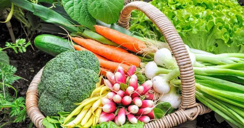 Vegetables-That-Grow-In-Shade