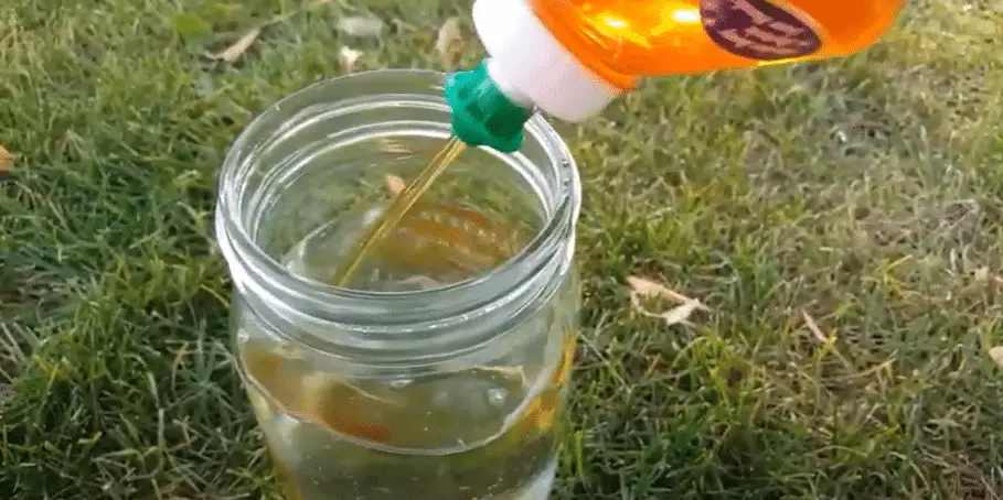 Dish soap being poured into jar of water on grass