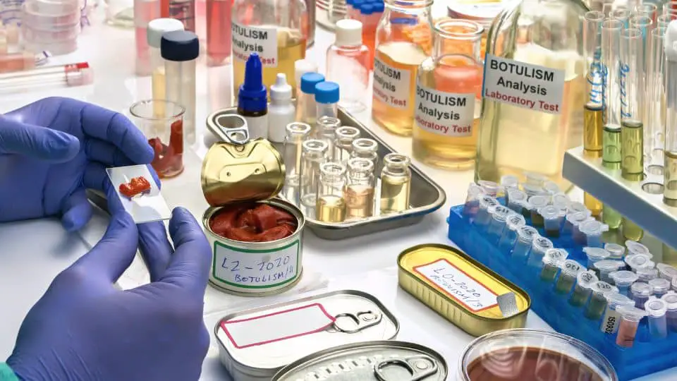 Scientist examining canned food