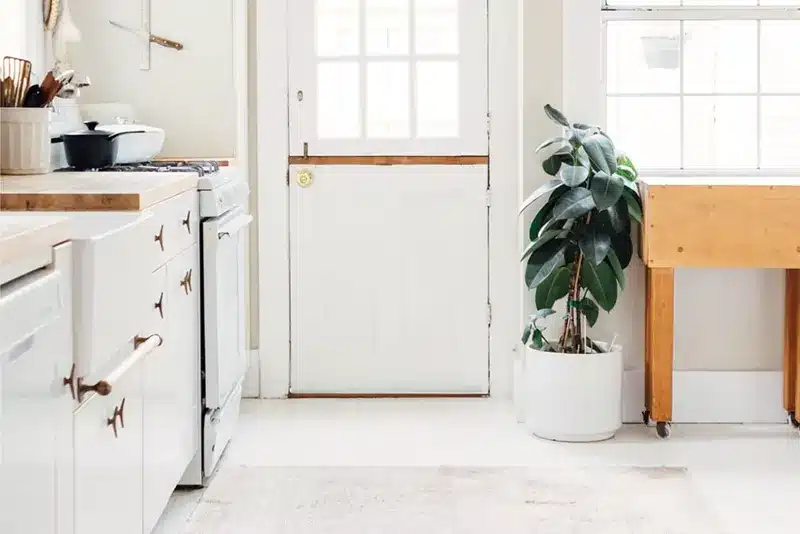 White kitchen with a potted plant