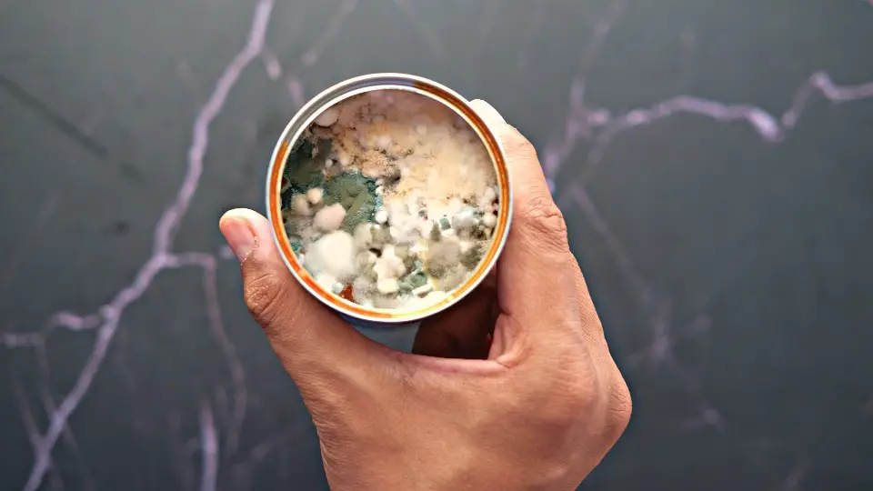 Moldy canned food