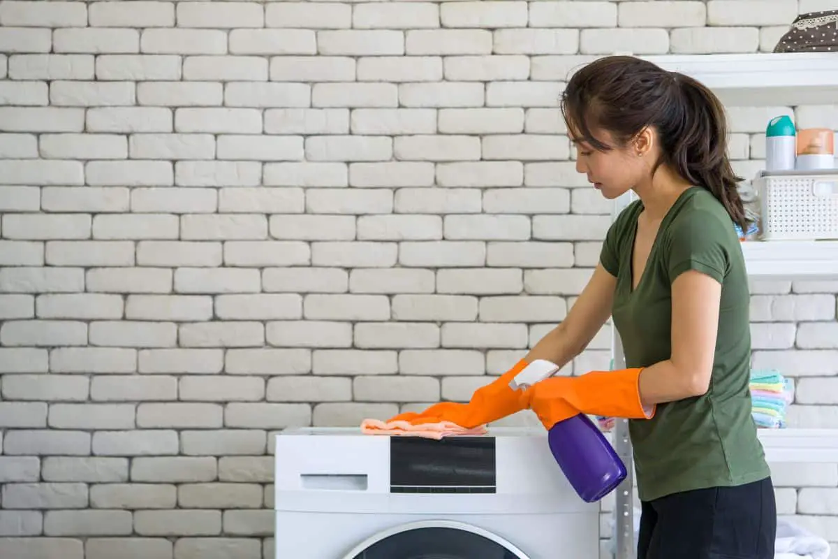Domestic Science: How to Clean a Washing Machine - Remodelista