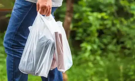 Low-Density Polyethylene (LDPE)