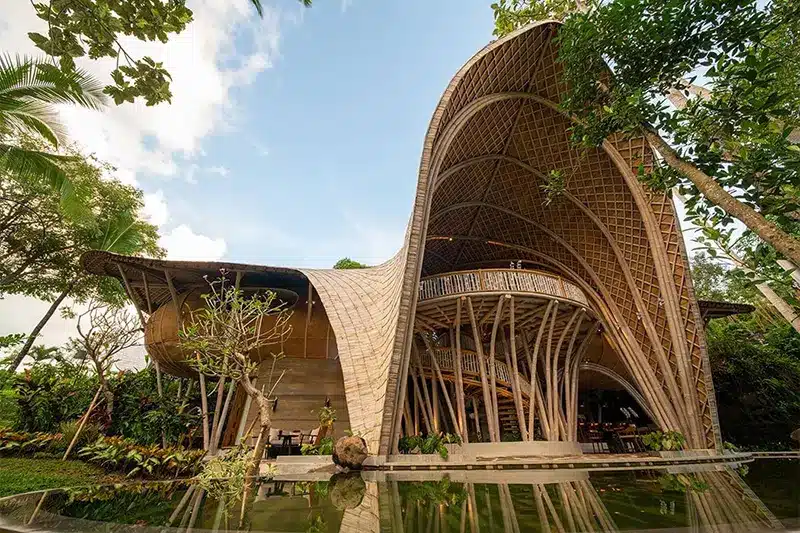 Building with a curved bamboo roof