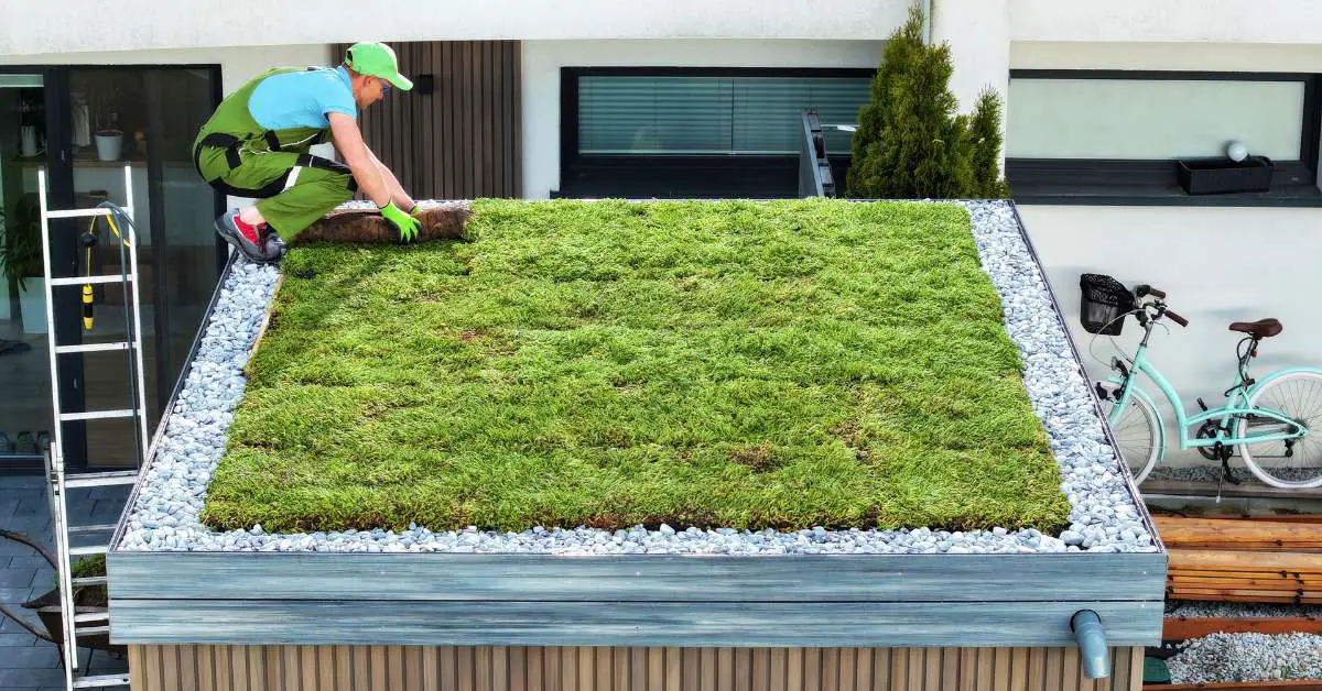 a man tending to a green roof