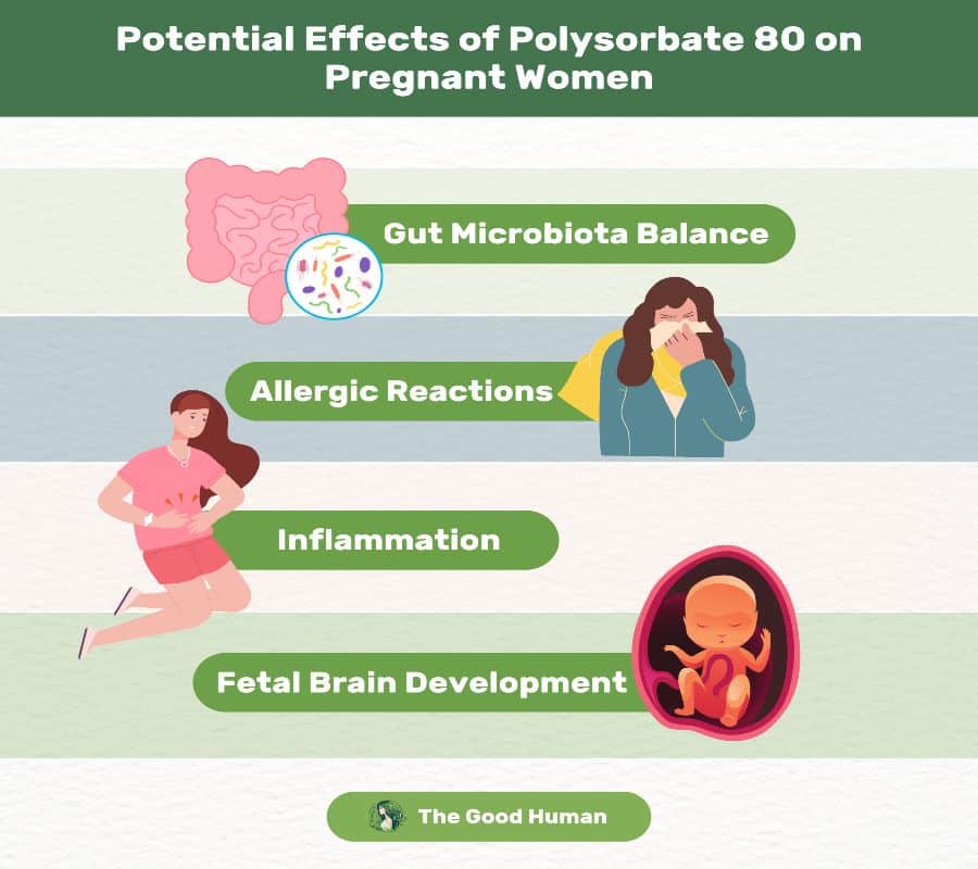 An infographic on the the potential effects of Polysorbate 80 on pregnant women.