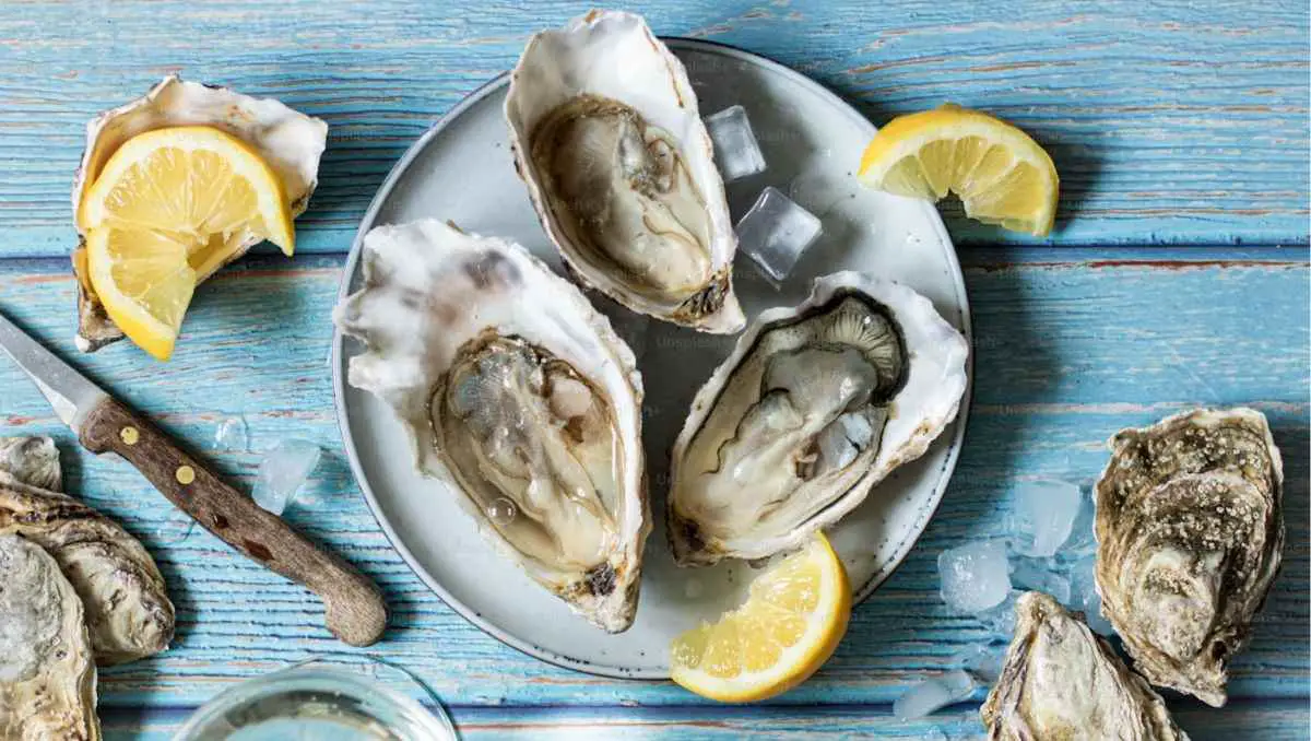 A platter of oysters with ice and lemon. 