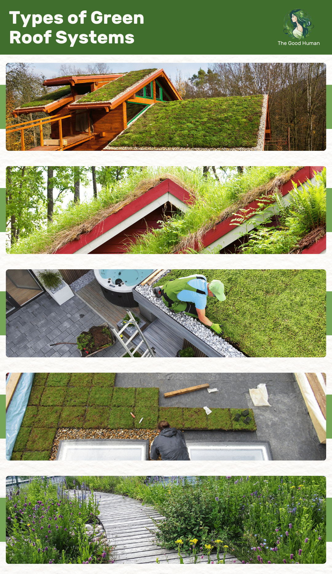 ferent types of green roof systems.
