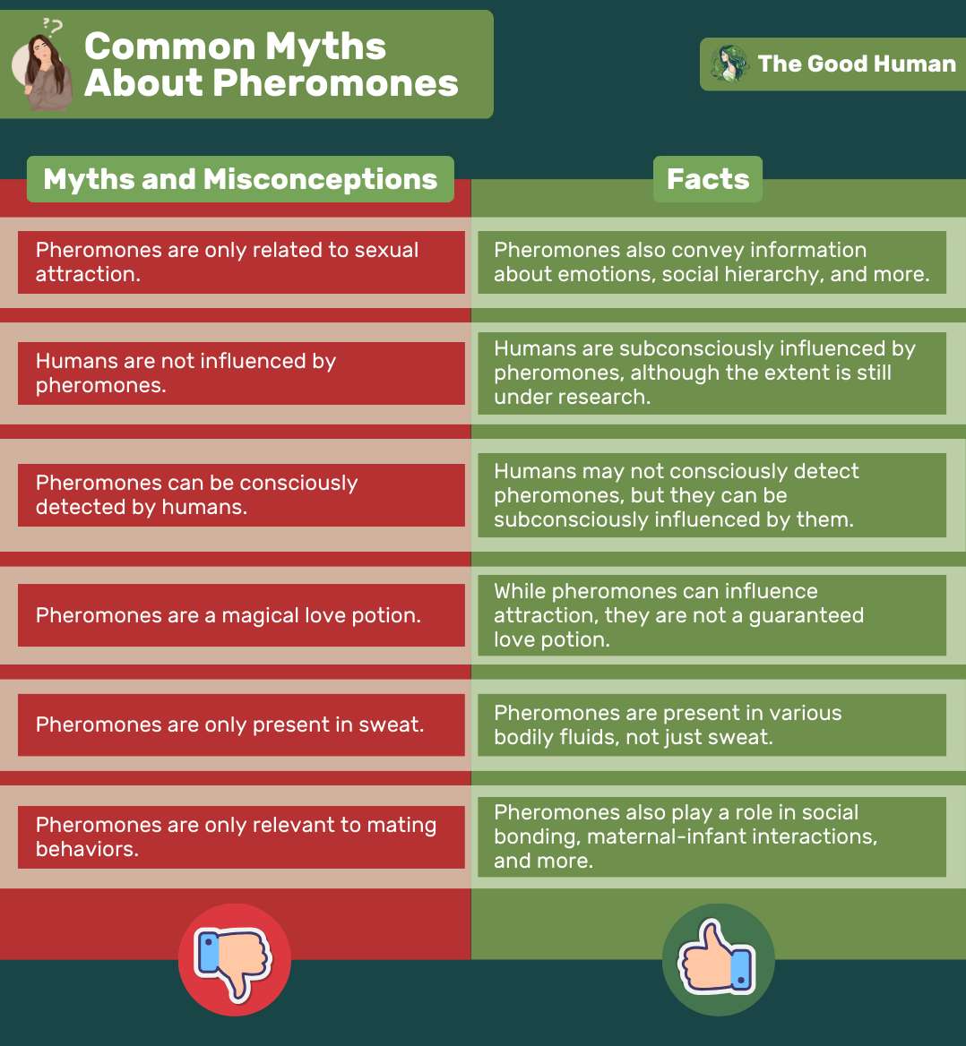 Common myths and misconceptions about pheromones.