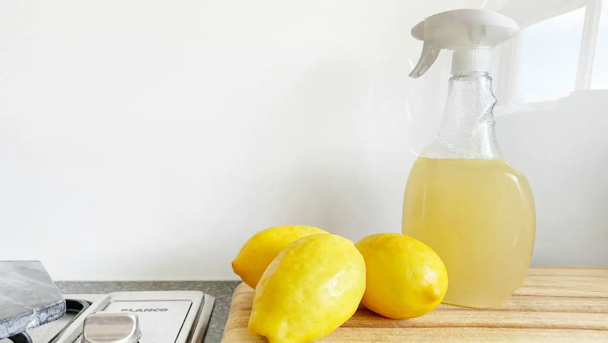 Homemade citrus peel & vinegar multi-purpose cleaner.