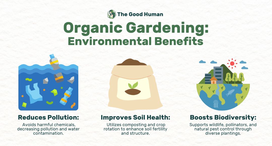 Environmental benefits of organic gardening.