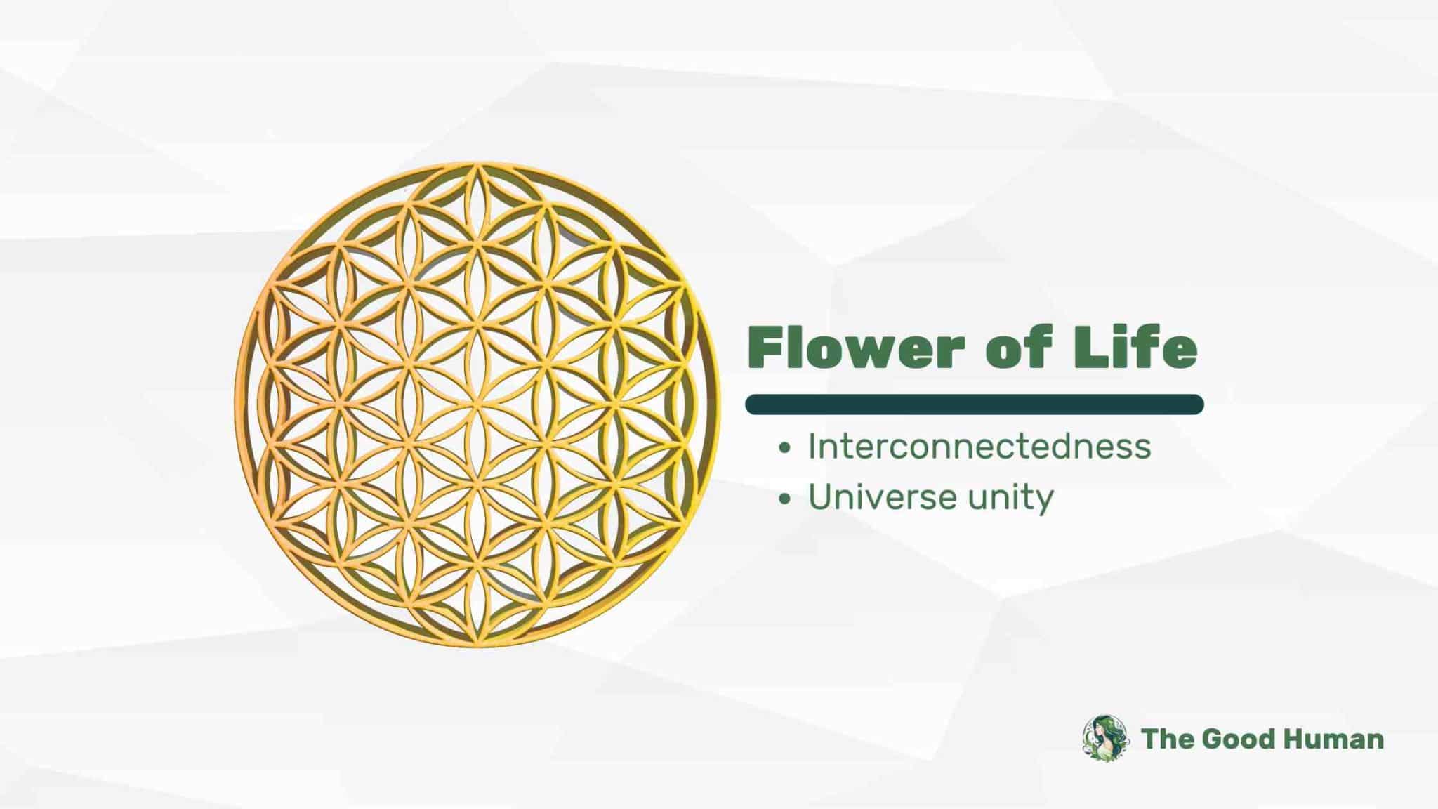 Flower of life symbol