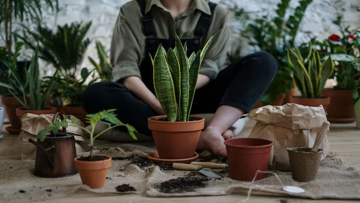 A gardener sitting in front of her potted plants.