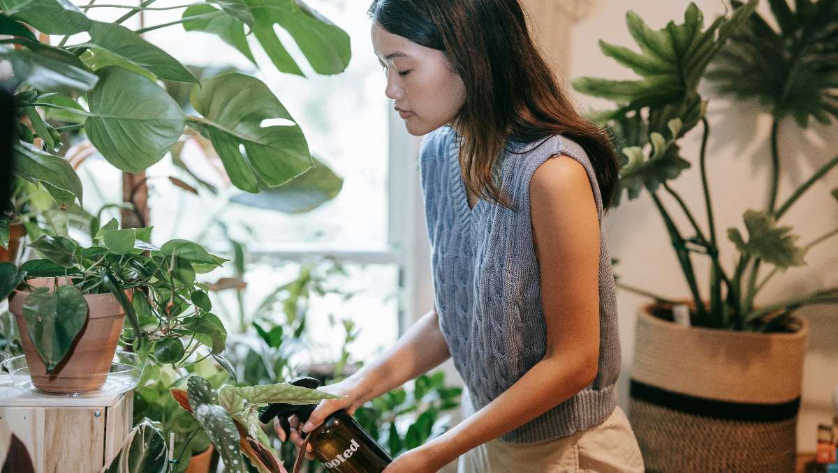 A young woman using a spray bottle to water the plants.