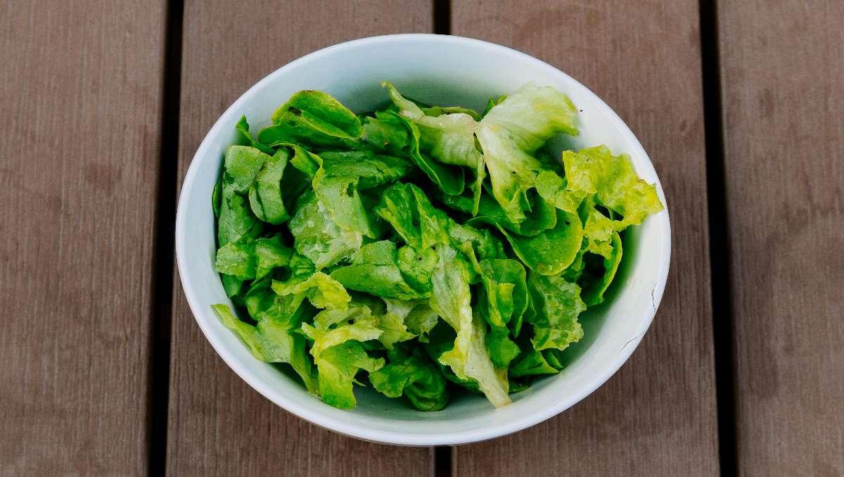 A bowl of fresh lettuce.
