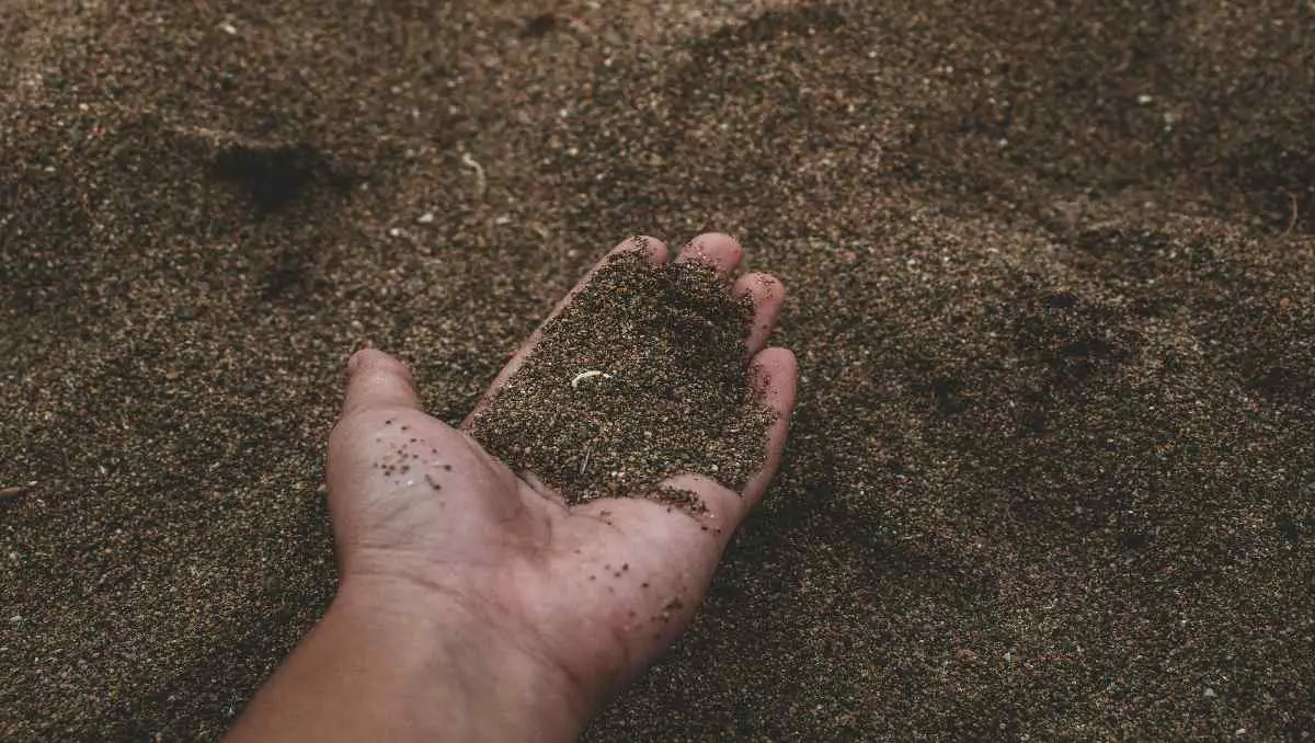 A farmer holding a handful of soil in the garden.