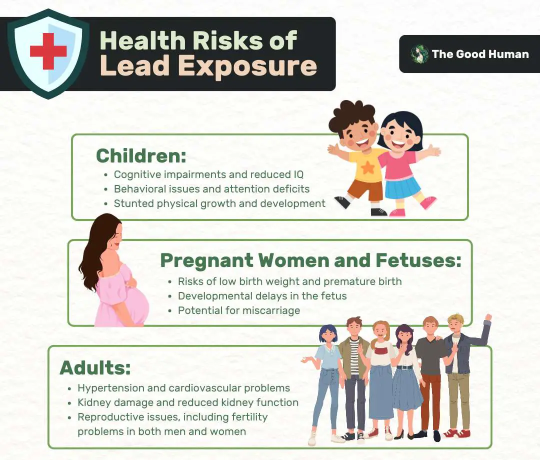 Health risks of lead exposure.