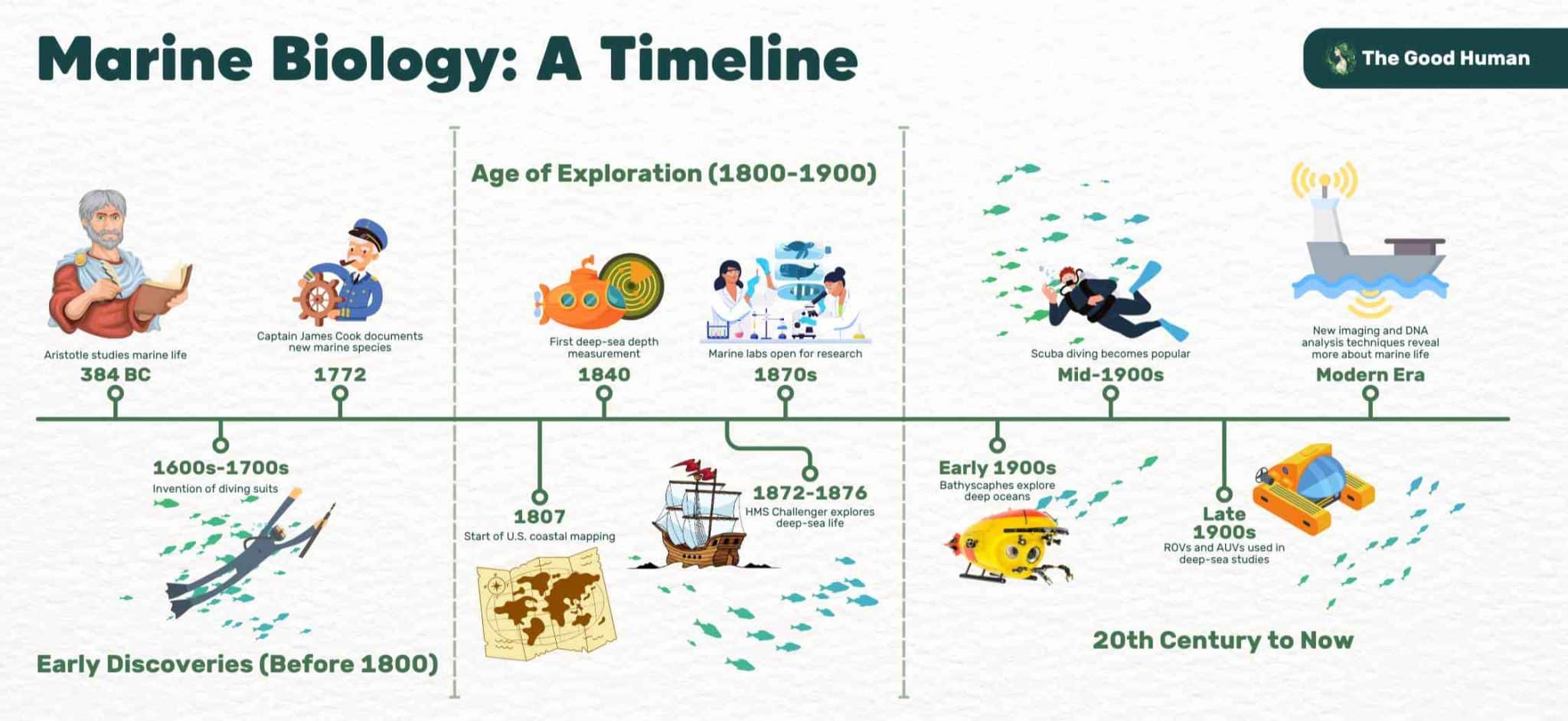 A timeline of marine biology.
